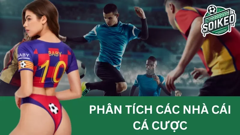 phân tích các nhà cái cá cược và cách chọn nhà cái hợp lý