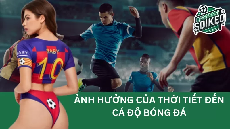 ảnh hưởng của điều kiện thời tiết đến cá cược bóng đá